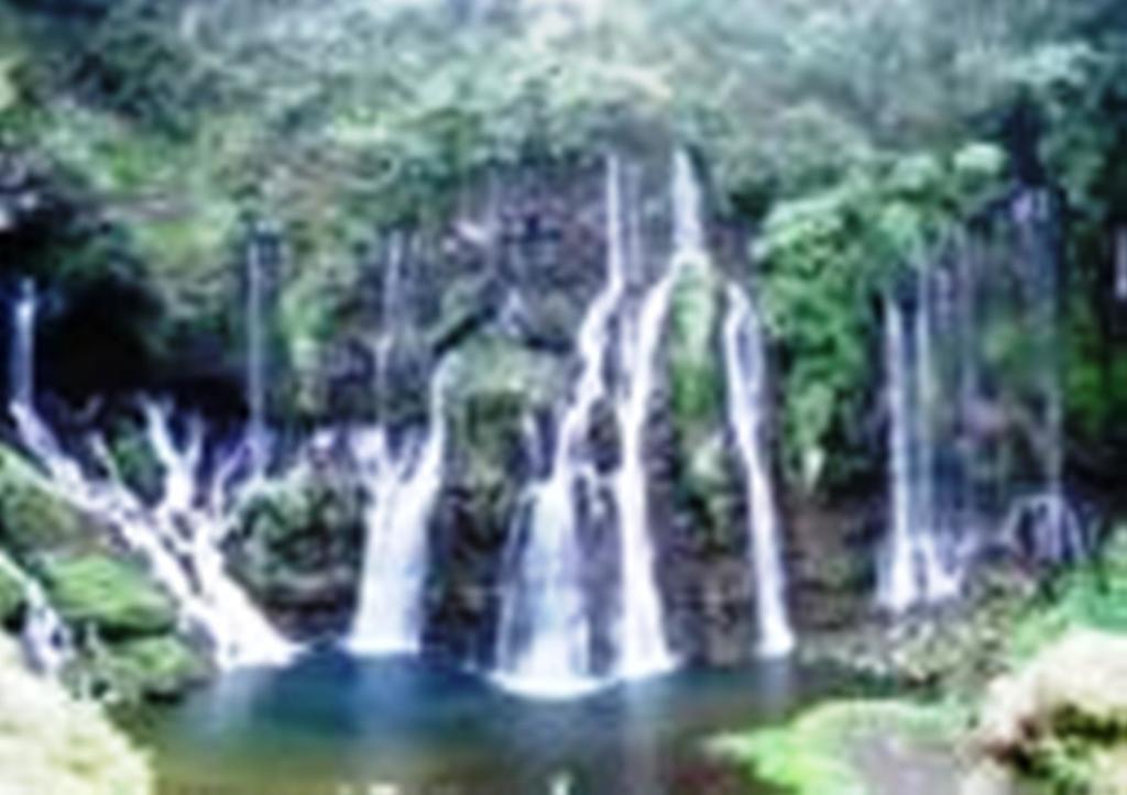 Braslontan Villa Le Tampon Bagian luar foto